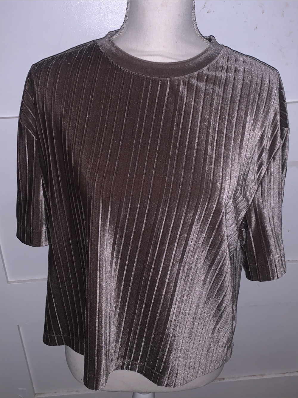 A New Day Pleated Velvet Short Sleeve Top - Brown